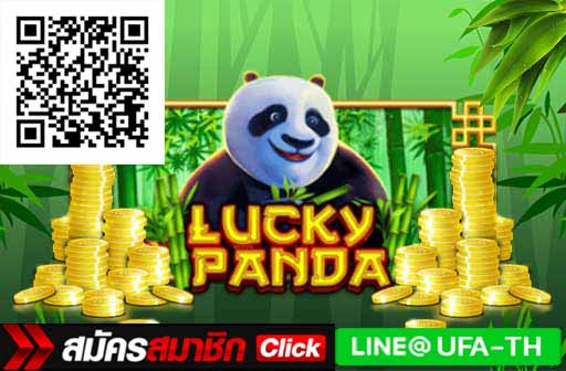 Lucky panda